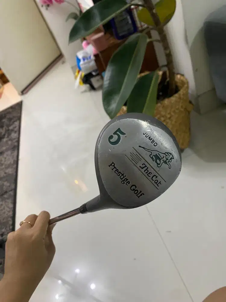 Stick Wood 5 Golf - The cat