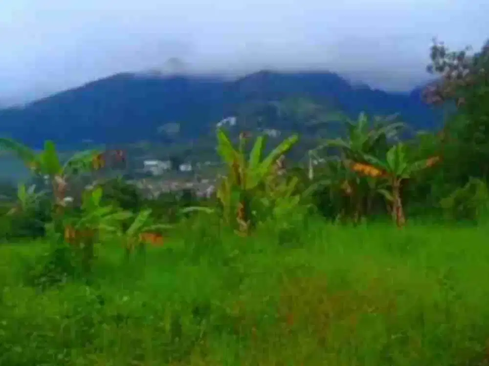 di jual lahan komersil view gunung dicisarua puncak bogor
