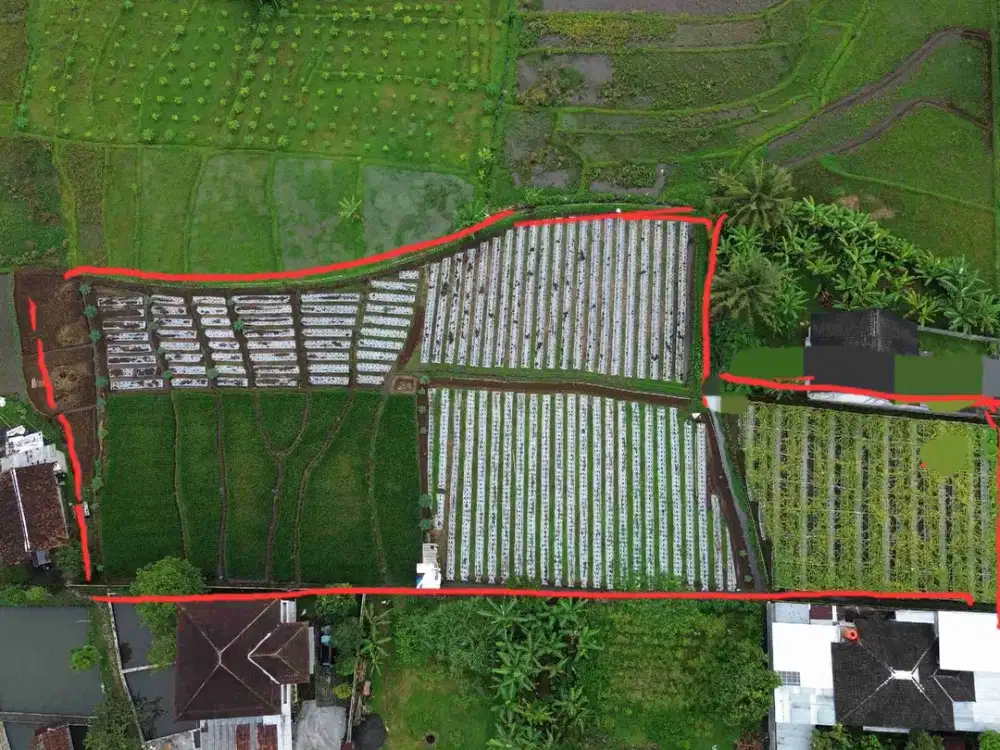 Tanah Sawah Produktive