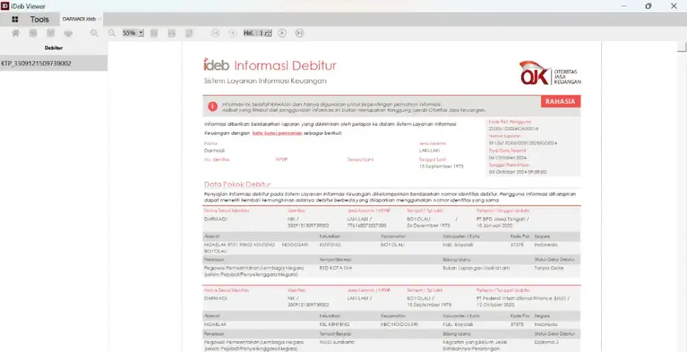 Cek Slik BI Checking