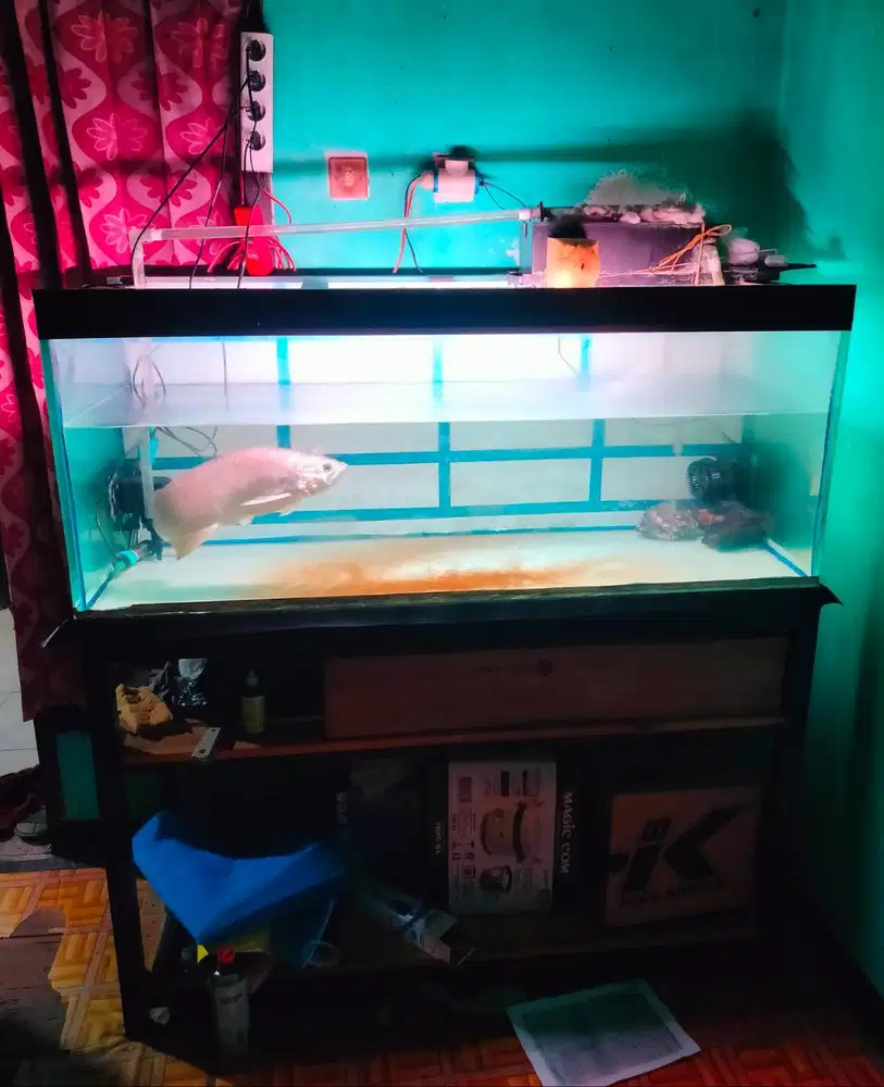 Aquarium 125x50x50 dan Meja Hollow