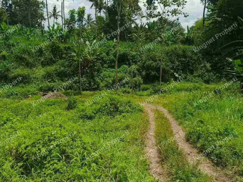 Tanah dekat jalan raya pakis malang