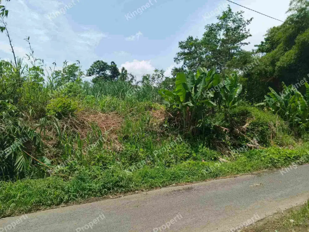 Tanah sawah air melimpah pinggir jalan utama pakis malang
