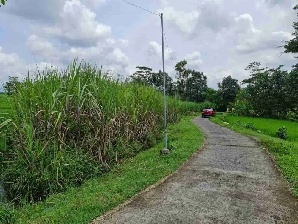 Tanah Super Murah dan Luas! Pemandangan Indah dan Udara Bersih di Bangsri Karangpandan, Hanya 750M Dari Jalan Solo Tawangmangu.