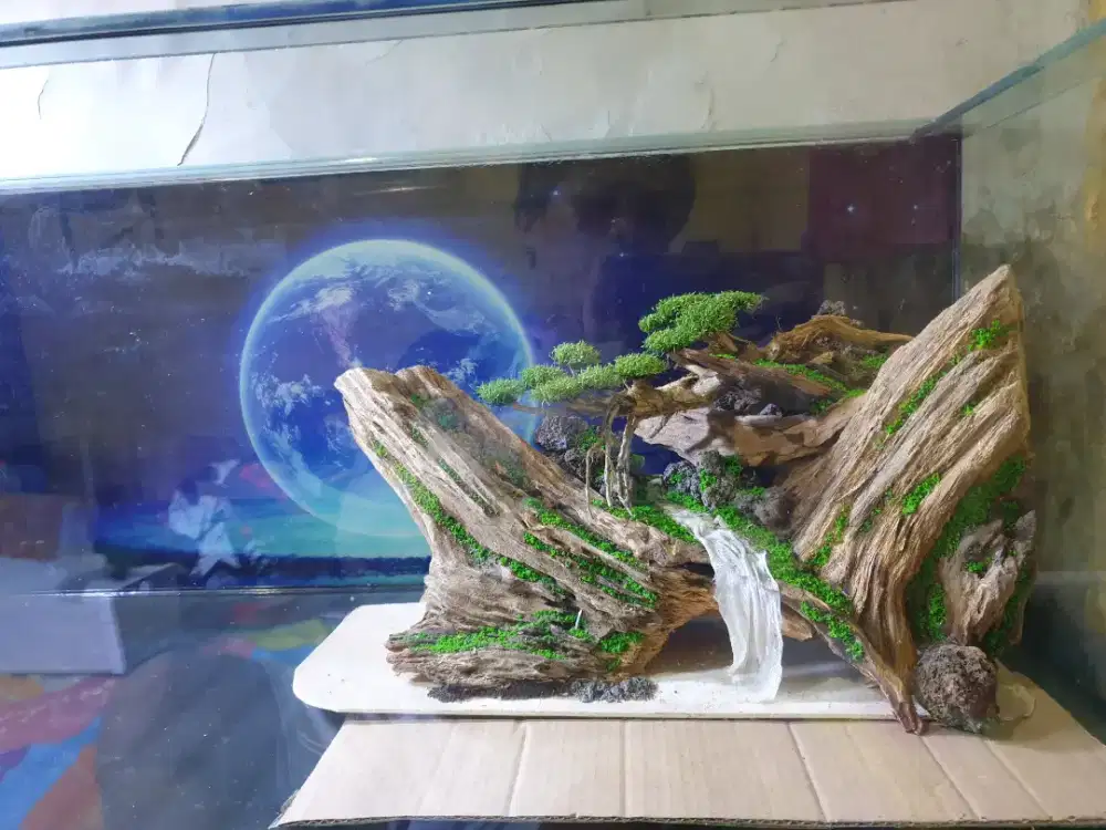 Hiasan aquarium 50*20*30