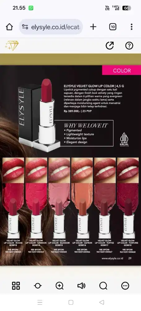 Administration, teacher of prep little kids and sales of Elysle