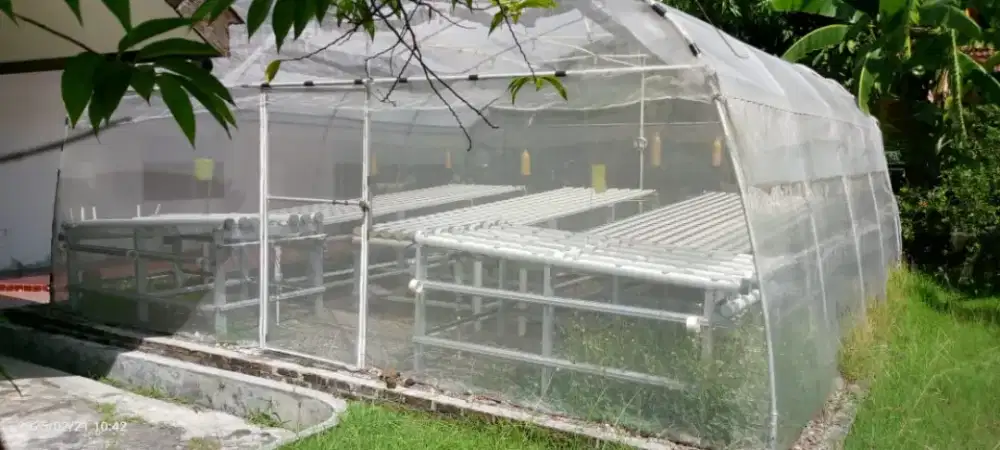 Dijual Green House Hidroponik