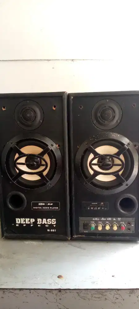 Speaker aktiF 6 inch