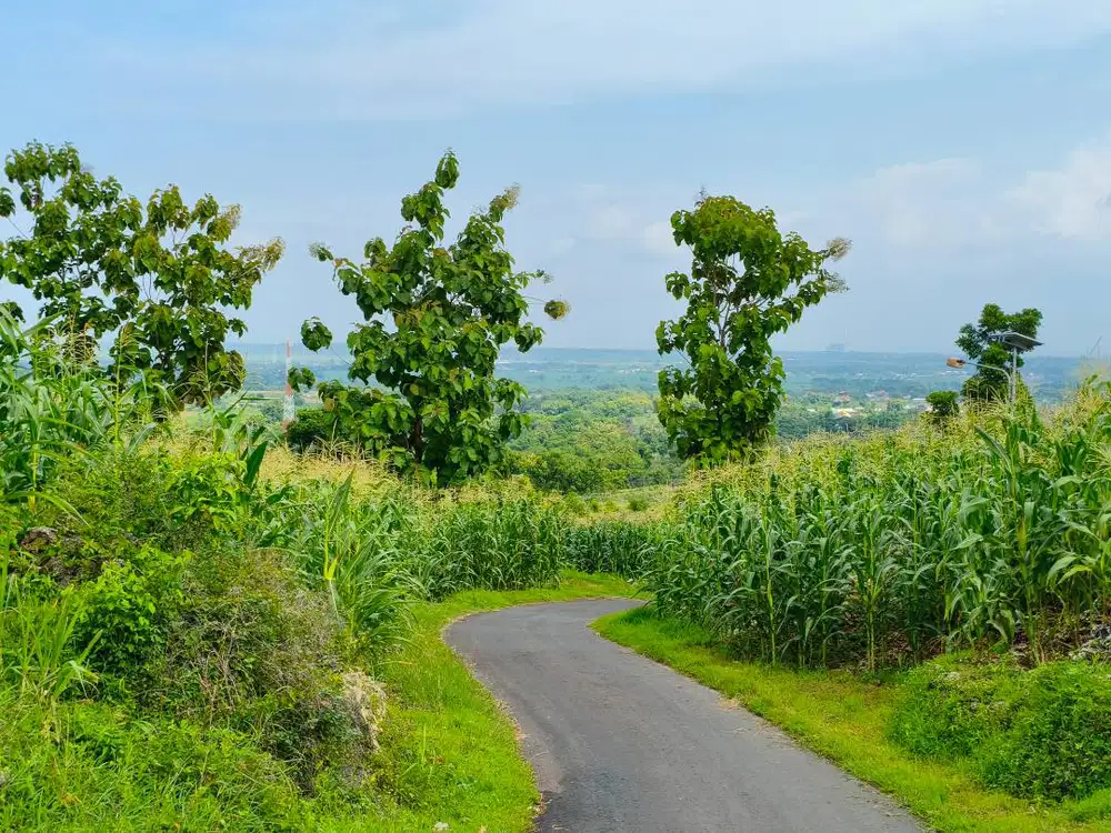 TANAH BUKIT VIEW KOTA TUBAN DIJUAL CEPAT !!