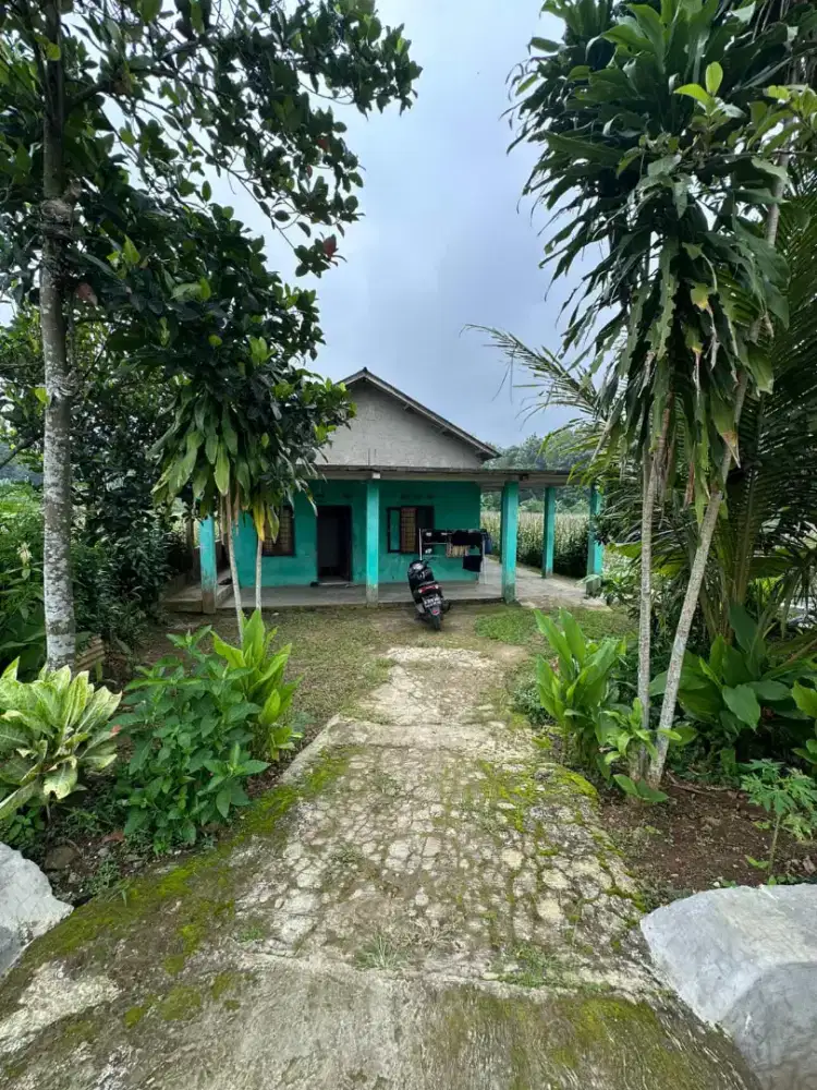 RUMAH & HALAMAN 300 M² + LAHAN KEBUN 700 M²