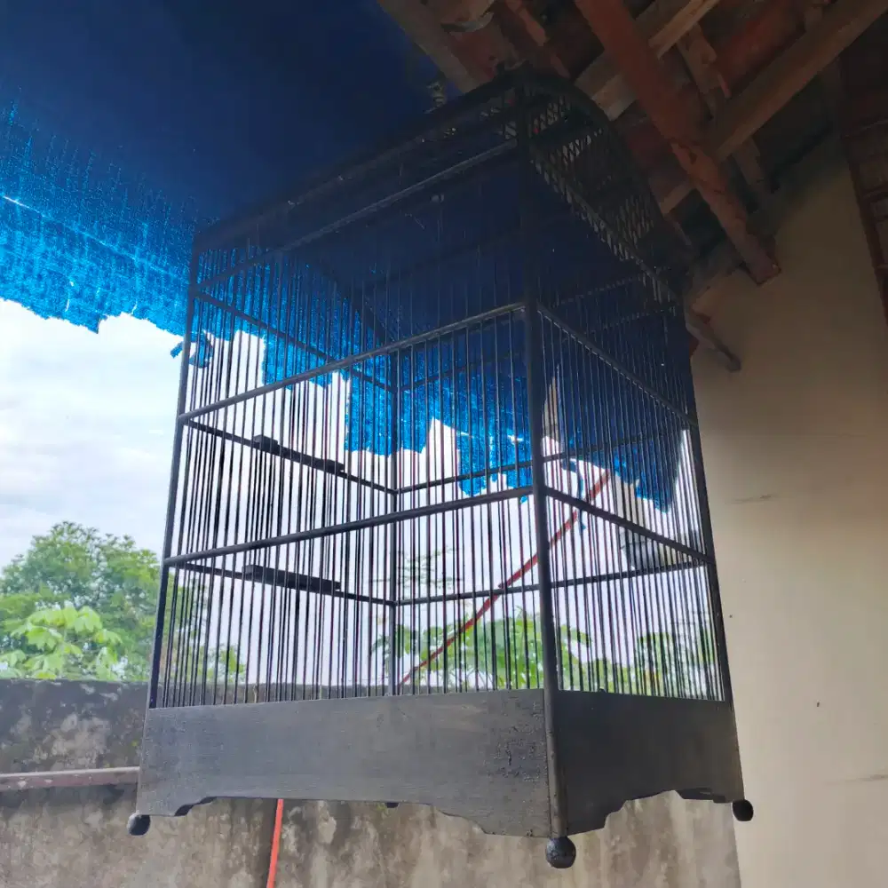 Kandang burung kotak