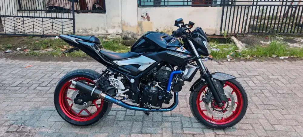 Yamaha MT 25 2016