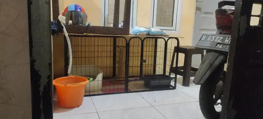 Di jual peralatan ex kucing