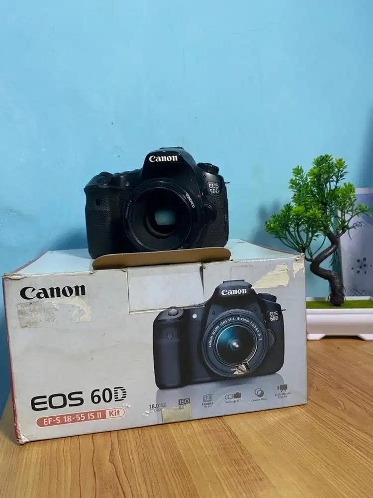 Canon 60d + lensa yongnuo 50mm