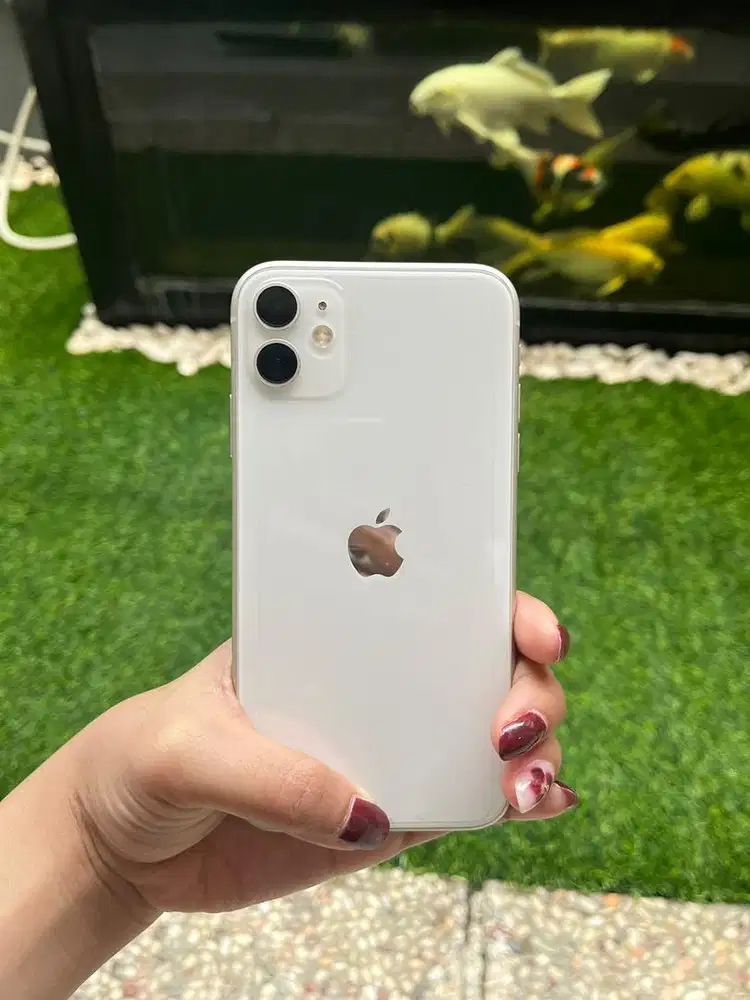 Iphone 11 64gb Second Normal Mulus All Provider