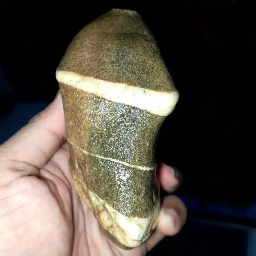 batu mirip burung besar urat timbul tebel tembus senter kendit jumbo