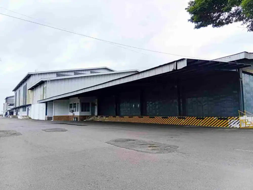 Rice mill modern aktif kapasitas 800 ton/hari plus gudang besar siap mendukung swasembada pangan