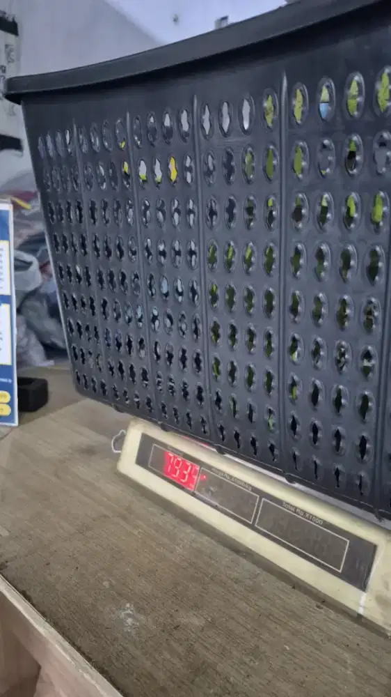 Dibutuhkan Karyawan Laundry