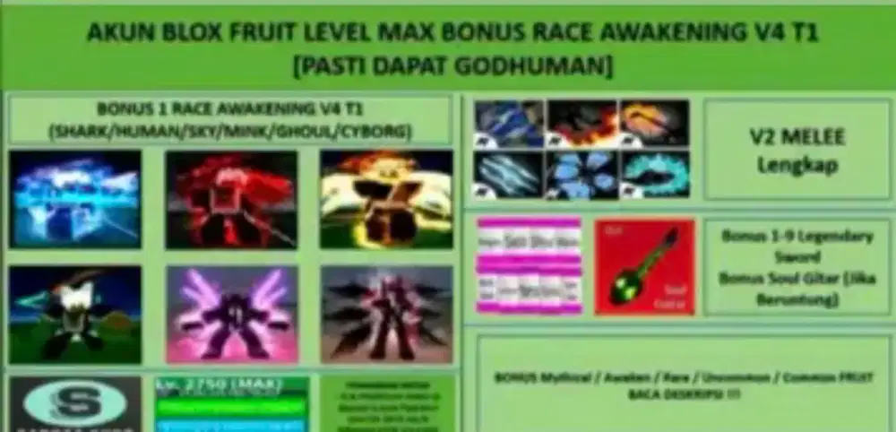 Akun roblox bloxfruit v 4 dan yang lainnya amanah