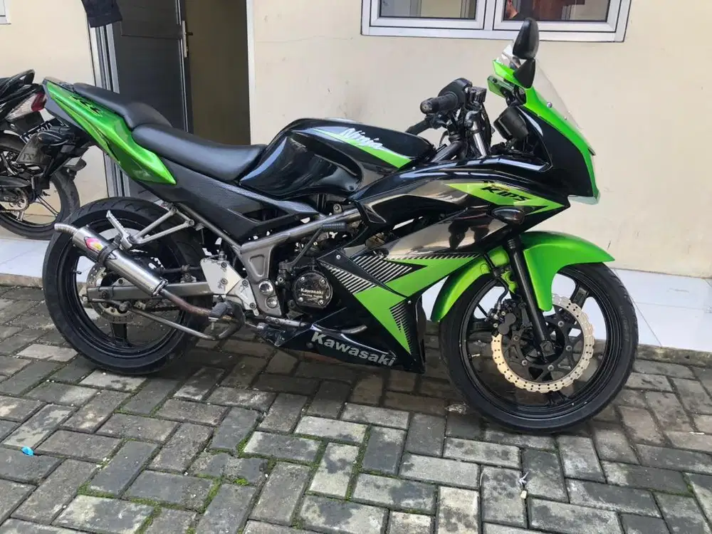 Ninja RR New th 2013