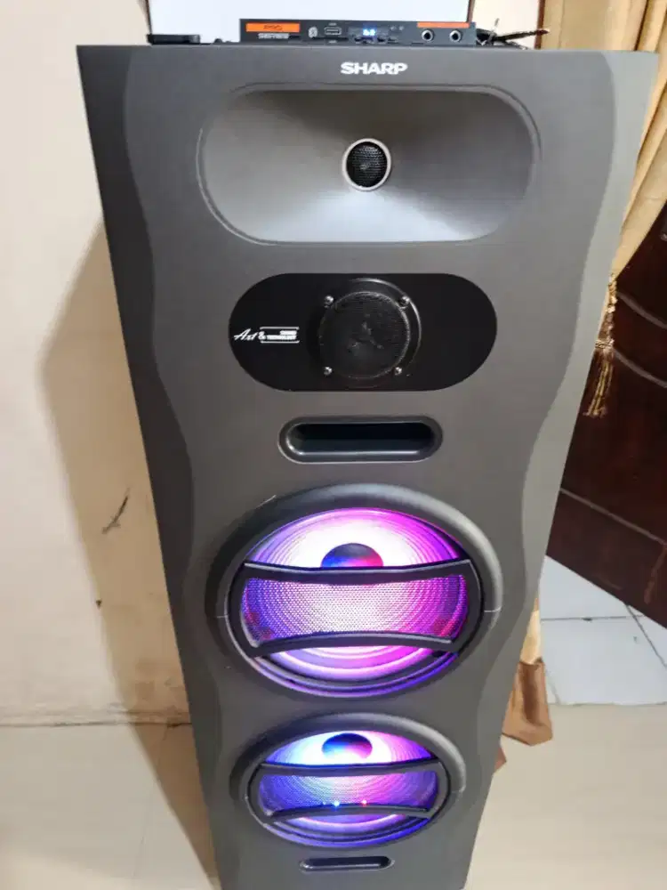 Sharp Speaker Cbox Pro22UBB