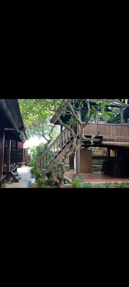 Dijual tanah 3,5 are bonus bangunan kayu lokasi di sanur denpasar bali