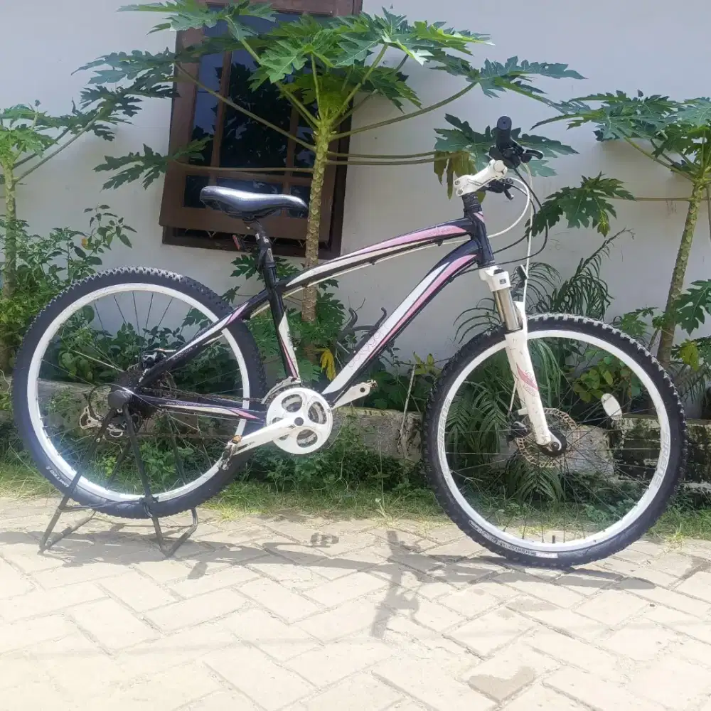 Sepeda MTB Polygon Cleo 3.0