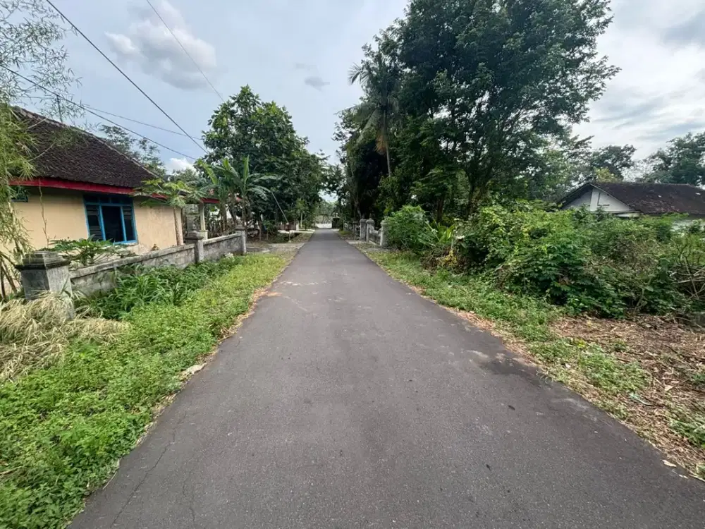 Tanah Kalasan Sleman 900 Meter Jl Pakem Kalasan