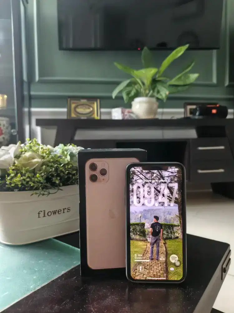 IPhone 11 Pro Max 512 GB inter