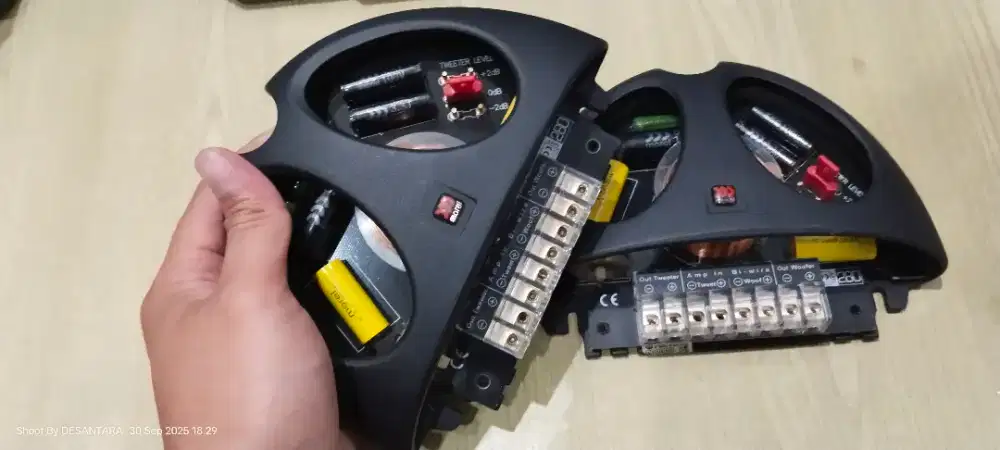 Crossover Morel Elate Carbon Pro