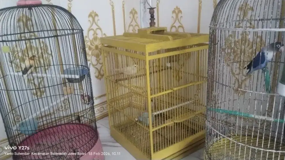 Jual burung kenari 2. Love bird 1+kurung bulat 2.kotak kayu 1