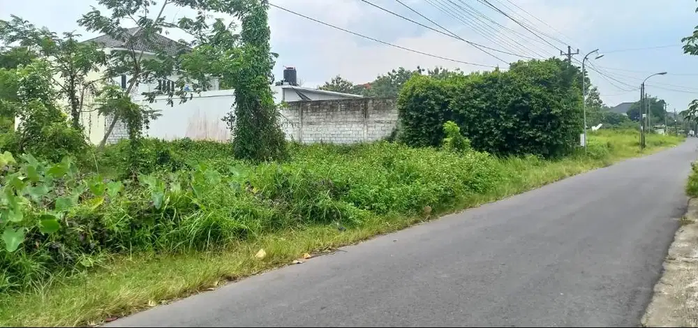 Lahan Produktif di Kawasan Asri Pandowoharjo 1.500 Meter Persegi