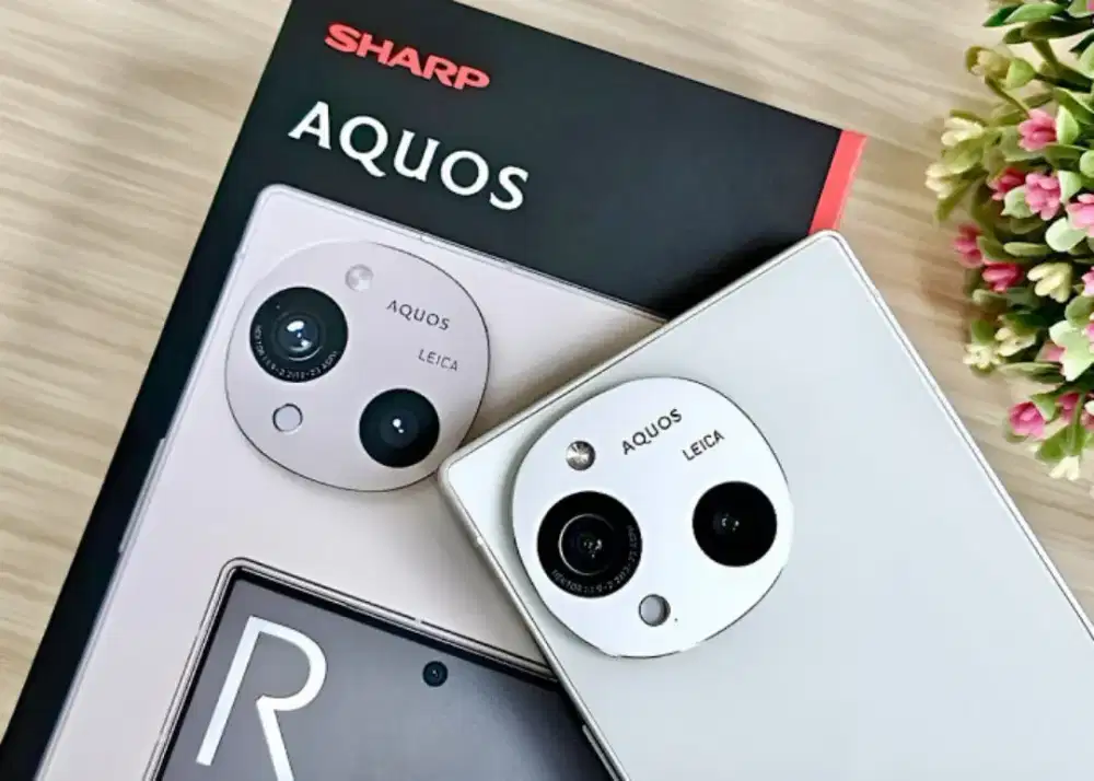 Sharp Aquos R10 12/512 Segel Box