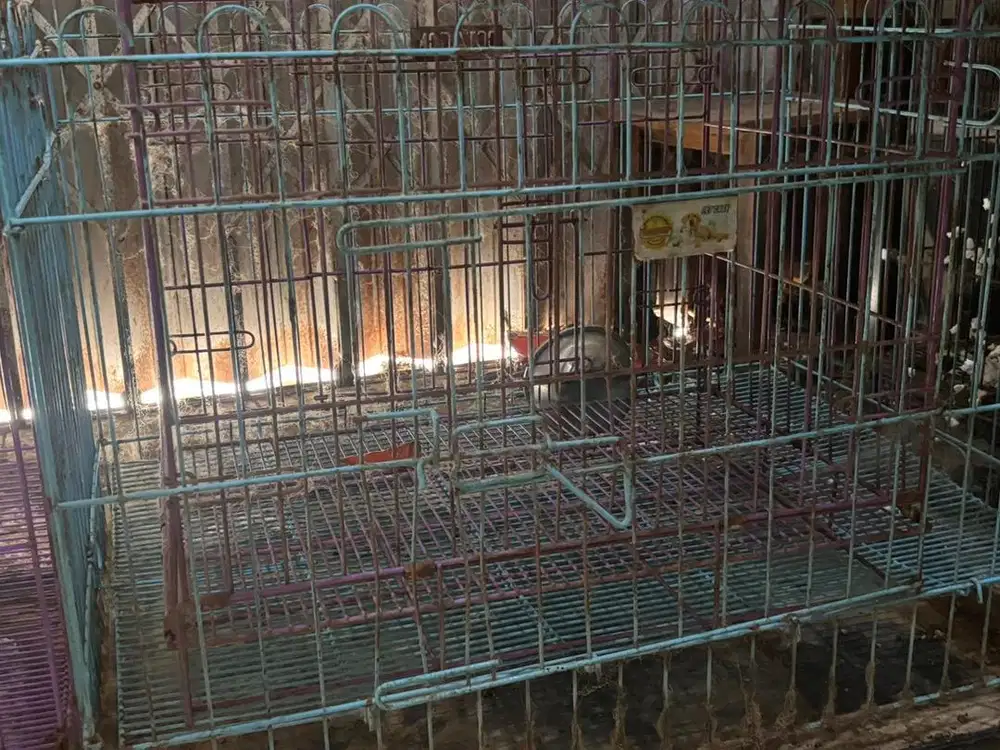 Jual kandang bekas layak pakai