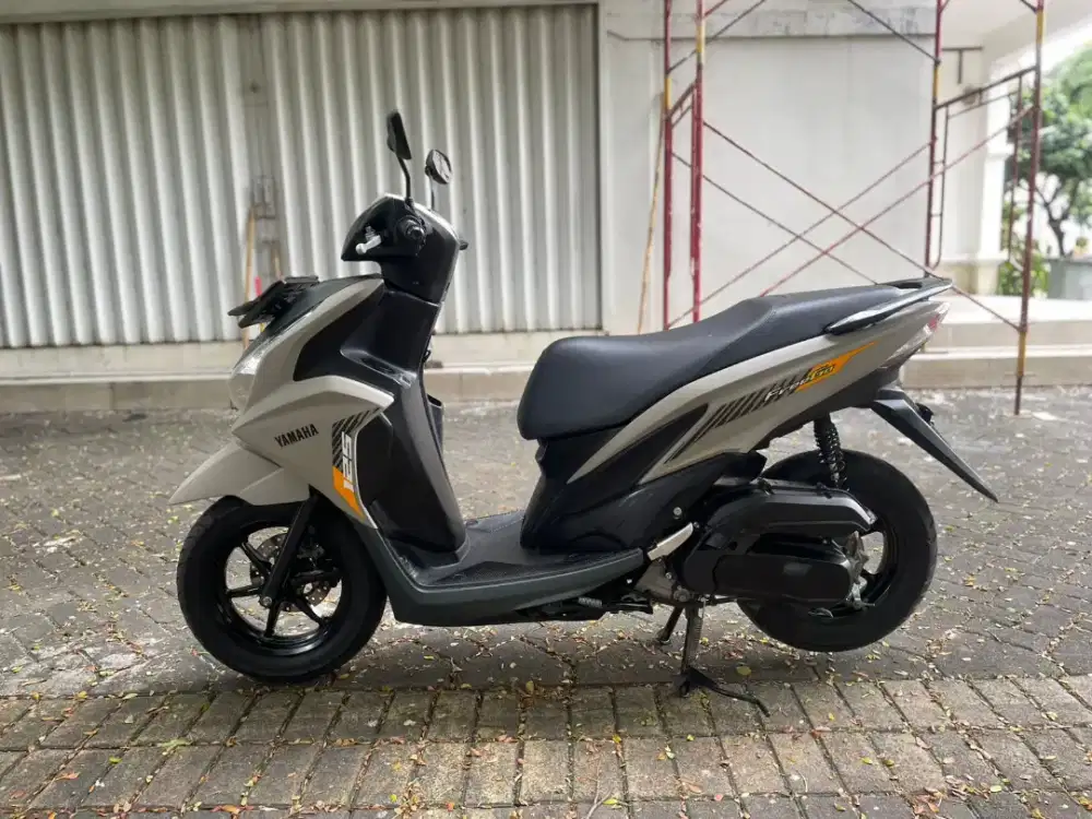 Freego 2024 Pajak Panjang