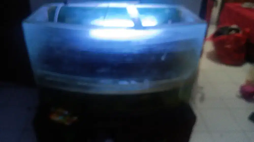 Dijual 3 buah aquarium masih bagus terawat
