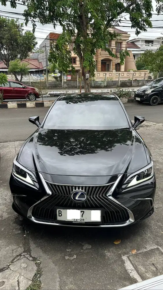 Lexus ES300 Hybrid Pemakaian 2019