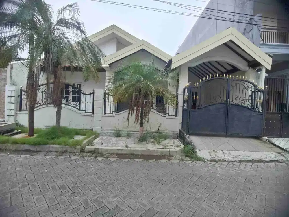 DISEWAKAN RUMAH HARGA GA MASUK AKAL (SUTOREJO UTARA)
LANGSUNG SURVEY !!!