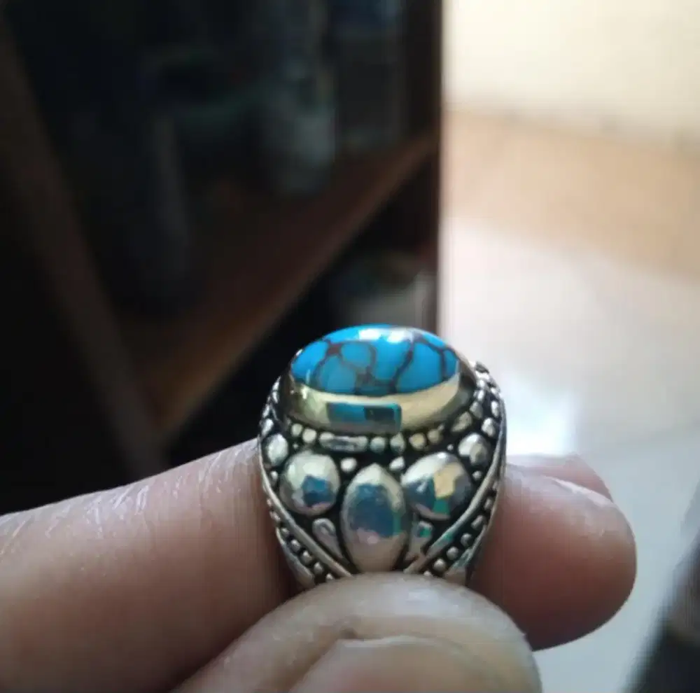 Pirus Urat Merah Mesir Keren