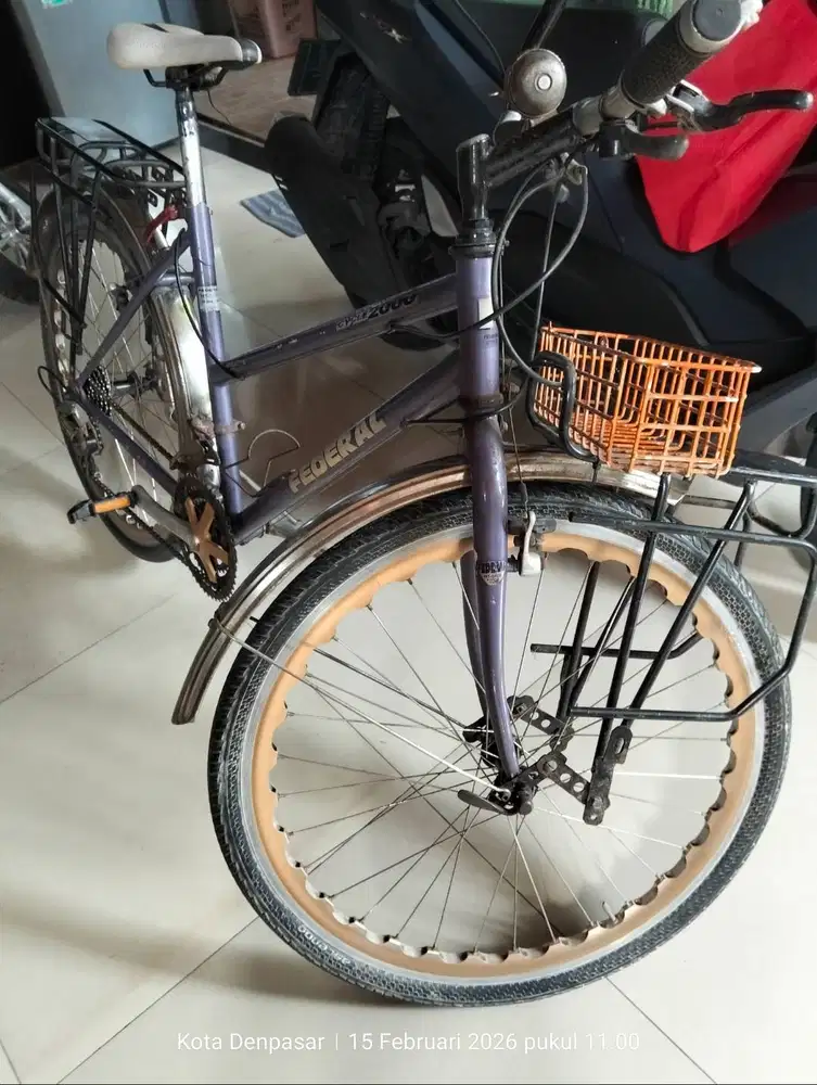 Federal lady ' WILD CAT