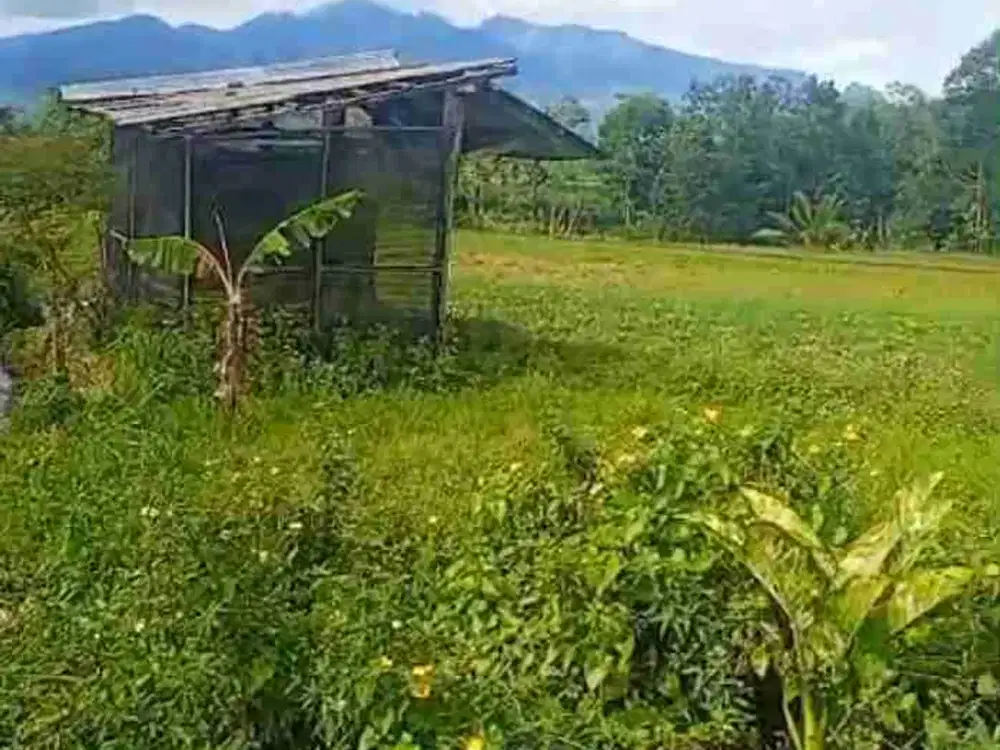 tanah murah BU SEKALI di sumberagung ngantang hanya 500 m dari jalan raya malang arah kediri jombang view istimewa air melimpah bagus buat investasi