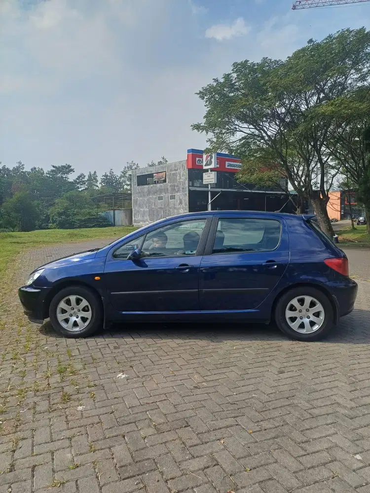 Peugeot 307 2002 Bensin