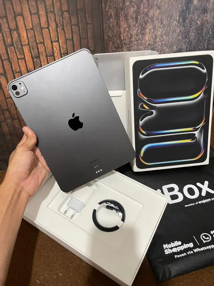 Ipad Pro M4 512 iBox Like New original
