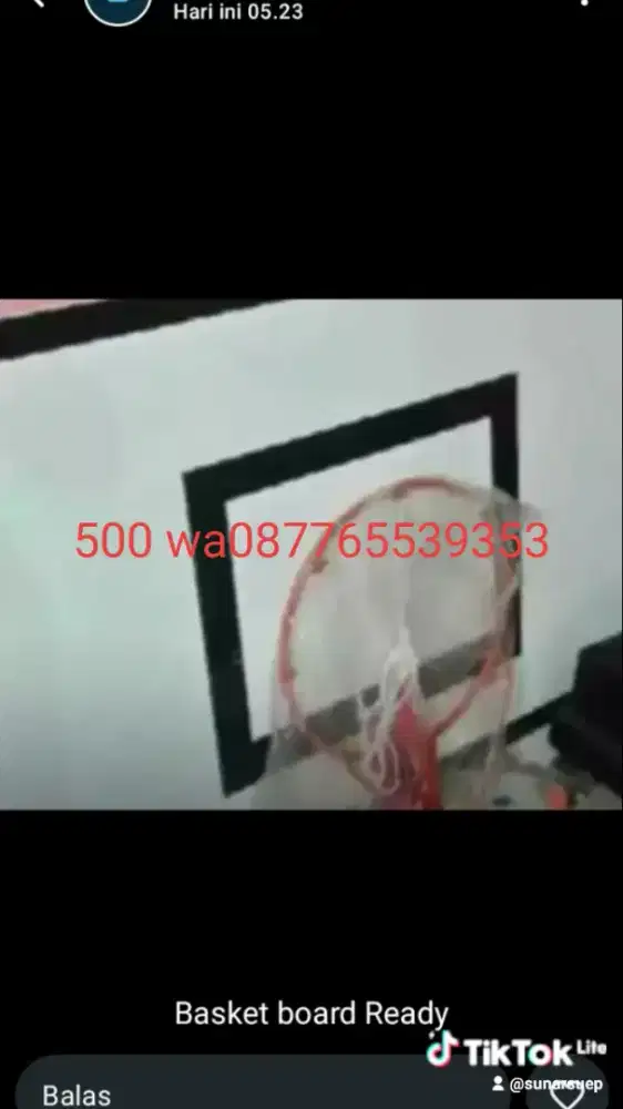 Ring basket dan Papan basket baru