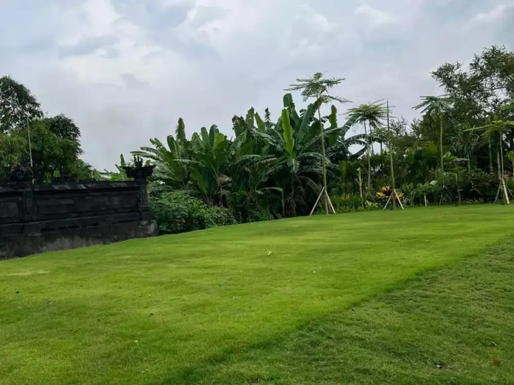Kavling Tanah Luas di Denpasar Selatan Akses Tol Bali Mandira