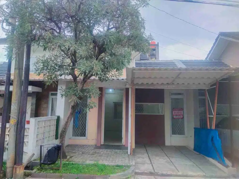 PINUS REGENCY HARGA 675JT NEGO