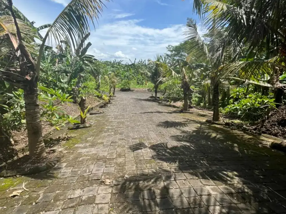 Kavling Premium di Gianyar Cocok untuk Investasi