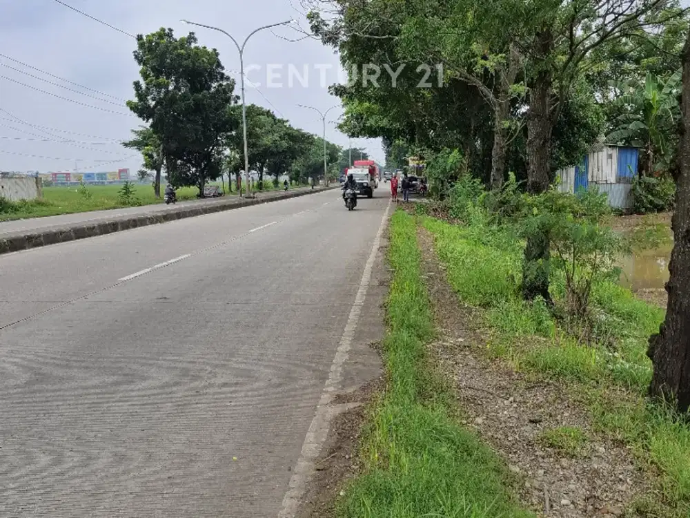 Lahan Sawah Di Jalan Baru Karawang Ideal Untuk Gudang & Industri