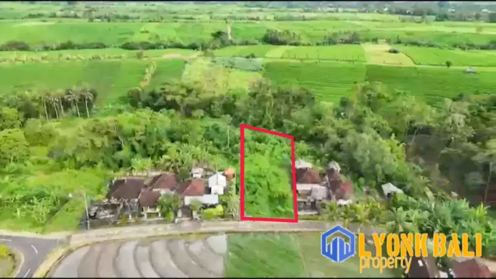 Dijual Tanah Los Sungai View Sawah Tabanan Bali