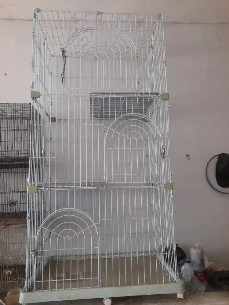 Kandang kucing masih 80% bagus